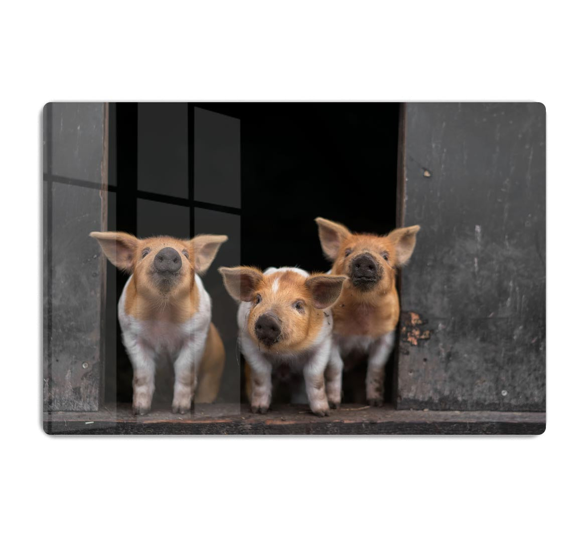 Three Piggies Acrylic Block - 1x - 1