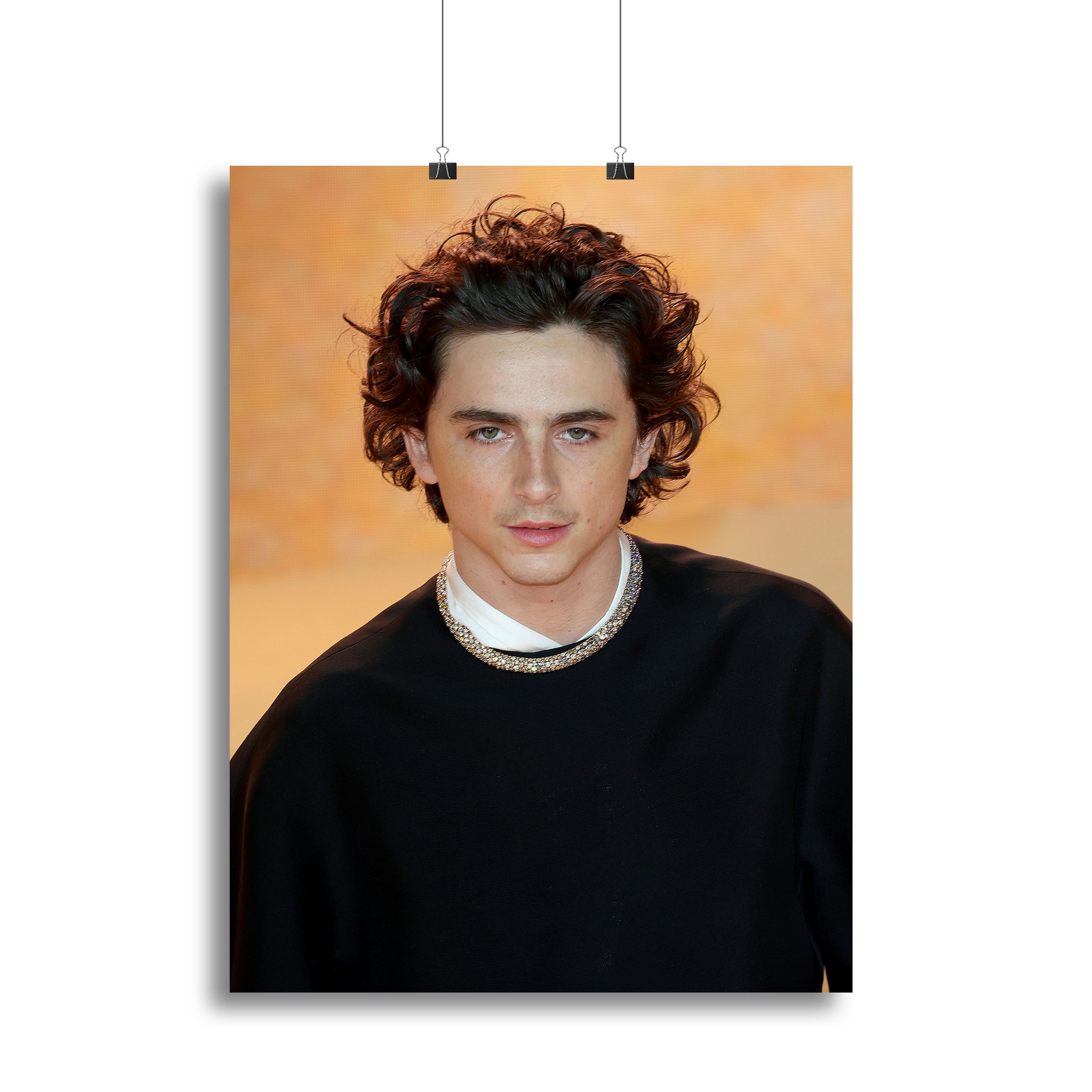 Timothee Chalamet at the premiere of Dune part two Canvas Print or Poster - Canvas Art Rocks - 2