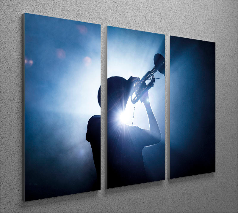 Trumpet Player 3 Split Panel Canvas Print - 1x - 2
