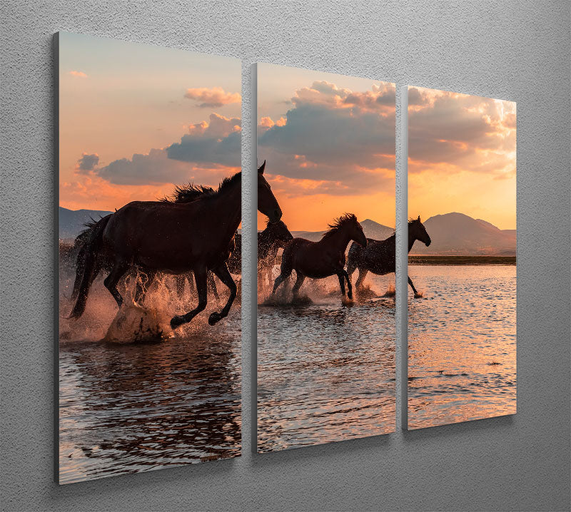 WATER HORSES 3 Split Panel Canvas Print - 1x - 2
