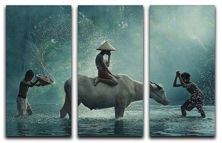 Water Buffalo 3 Split Panel Canvas Print - 1x - 1