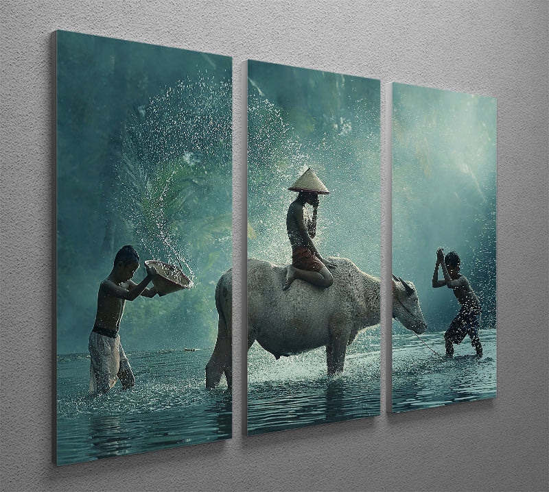 Water Buffalo 3 Split Panel Canvas Print - 1x - 2
