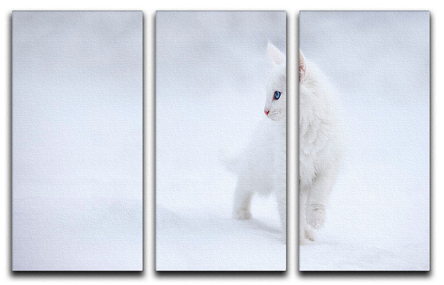 White as Snow 3 Split Panel Canvas Print - 1x - 1