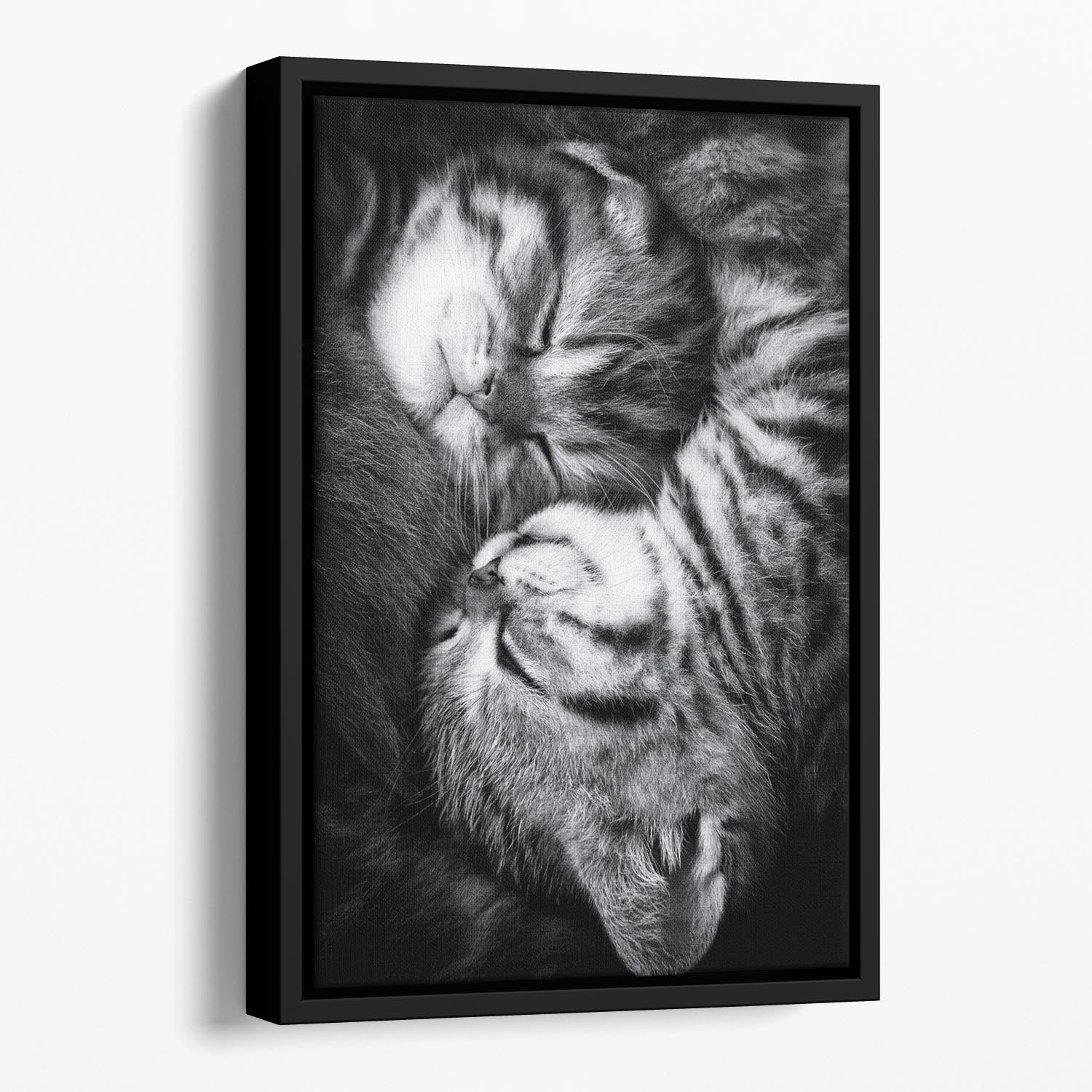Yin and Yang Floating Framed Canvas - 1x - 1