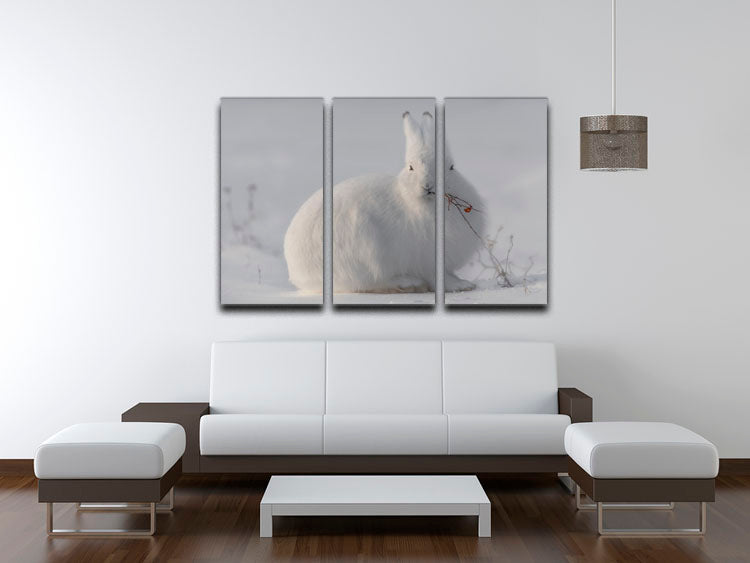 wild arctic hare 3 Split Panel Canvas Print - 1x - 3