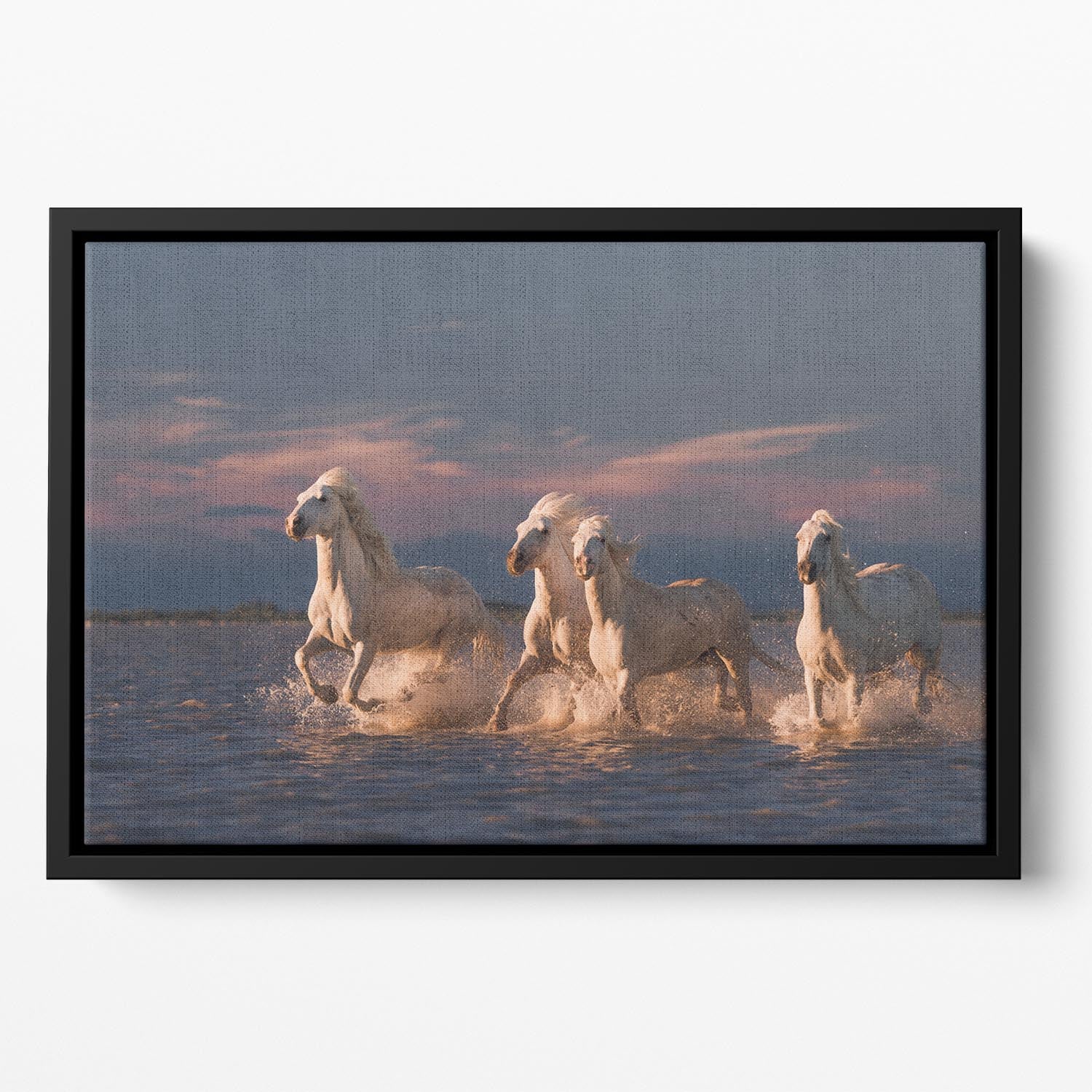 Wite Horses Running In Water 2 Floating Framed Canvas - Canvas Art Rocks - 2