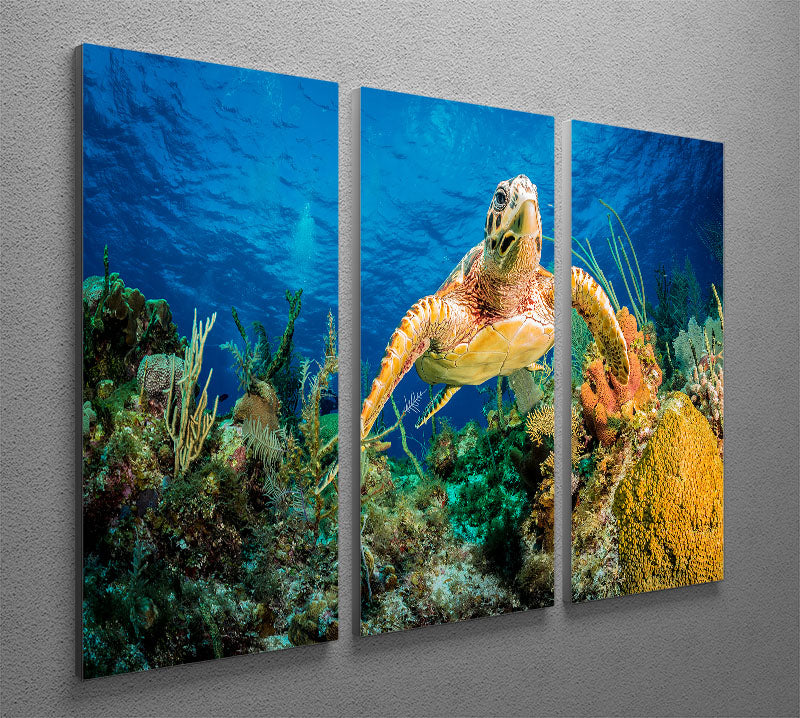 Hawksbill Turtle Swimming Through Caribbean Reef 3 Split Panel Canvas Print - Canvas Art Rocks - 2
