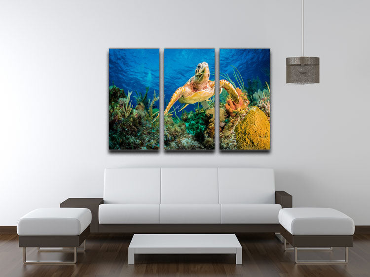 Hawksbill Turtle Swimming Through Caribbean Reef 3 Split Panel Canvas Print - Canvas Art Rocks - 3