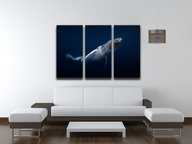 Humpback Whale 3 Split Panel Canvas Print - Canvas Art Rocks - 3