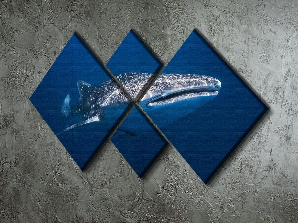 Whale Shark 4 Square Multi Panel Canvas - Canvas Art Rocks - 2