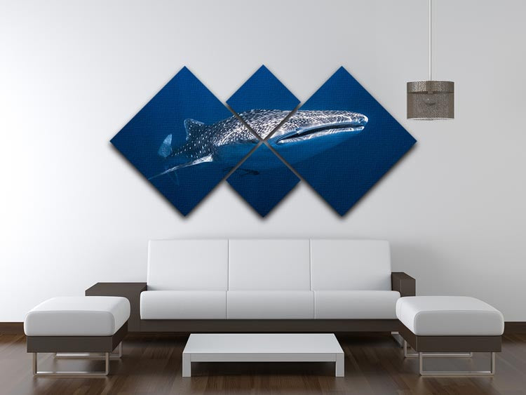 Whale Shark 4 Square Multi Panel Canvas - Canvas Art Rocks - 3