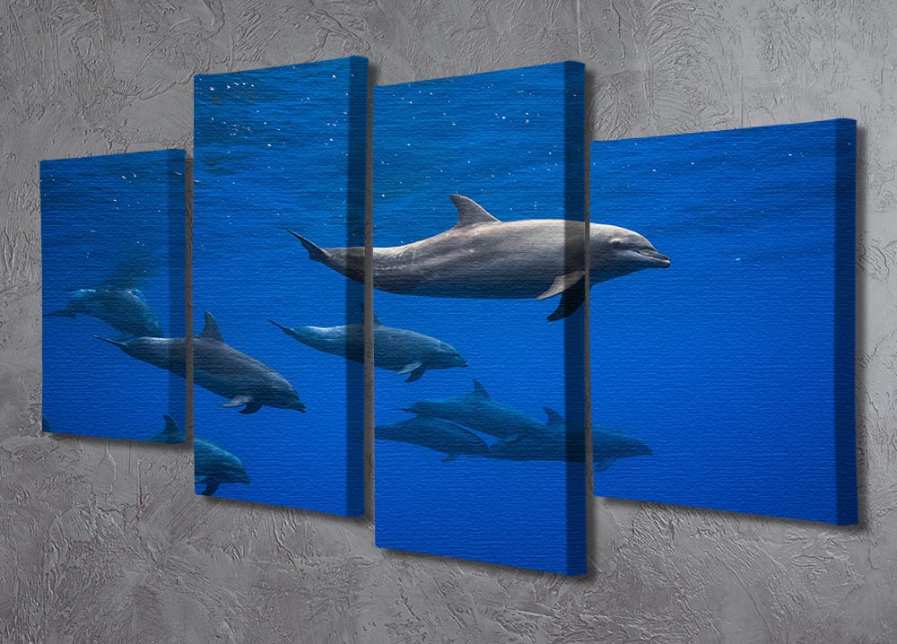 Dolphins 4 Split Panel Canvas - 1x - 2