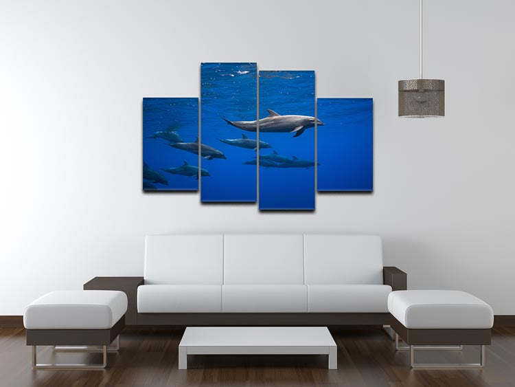 Dolphins 4 Split Panel Canvas - 1x - 3