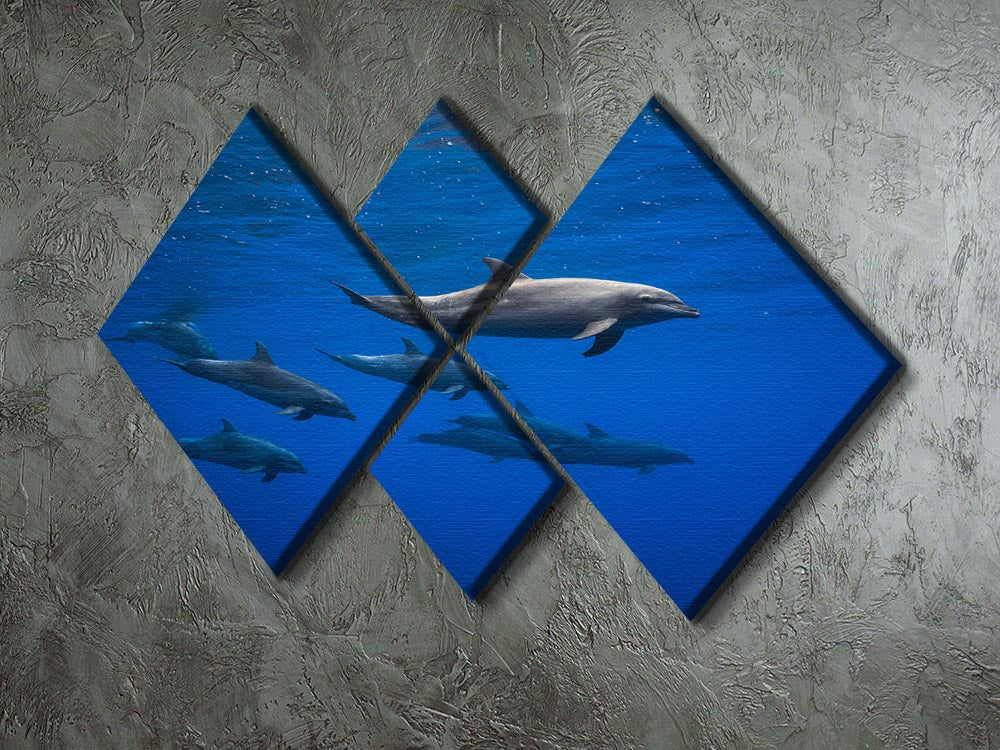 Dolphins 4 Square Multi Panel Canvas - 1x - 2