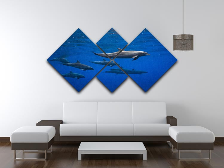 Dolphins 4 Square Multi Panel Canvas - 1x - 3