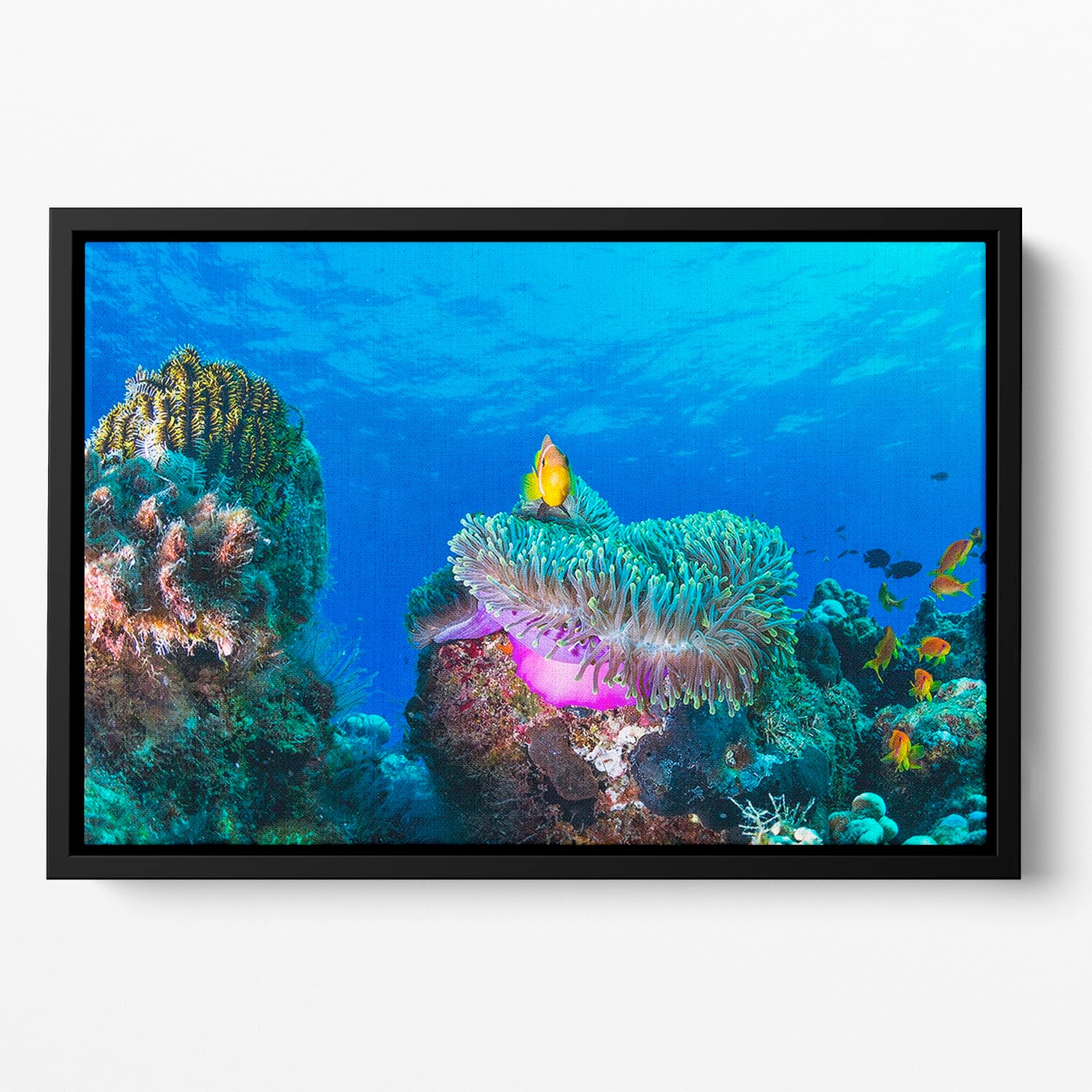 Sea Life Floating Framed Canvas - Canvas Art Rocks - 2