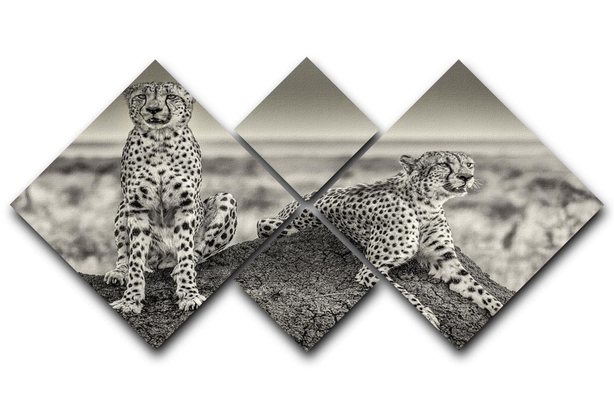 Two Cheetahs watching out 4 Square Multi Panel Canvas - Canvas Art Rocks - 1