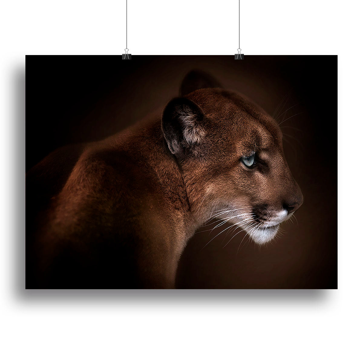 Puma Canvas Print or Poster - Canvas Art Rocks - 2