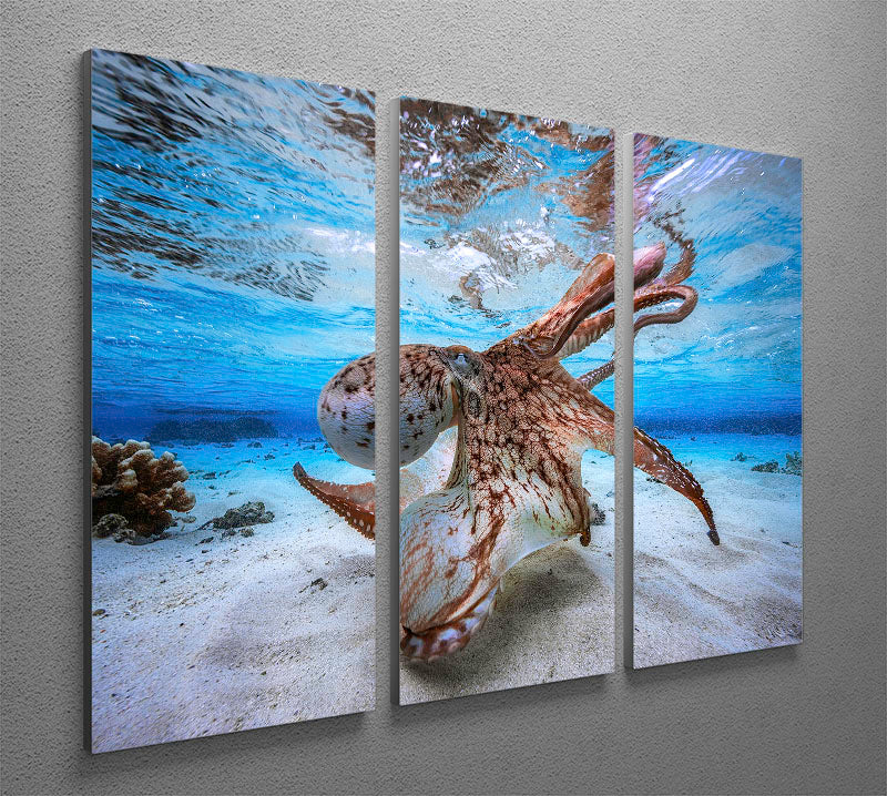 Dancing Octopus 3 Split Panel Canvas Print - Canvas Art Rocks - 2