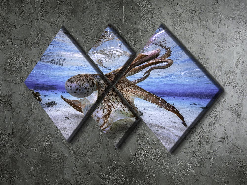 Dancing Octopus 4 Square Multi Panel Canvas - Canvas Art Rocks - 2