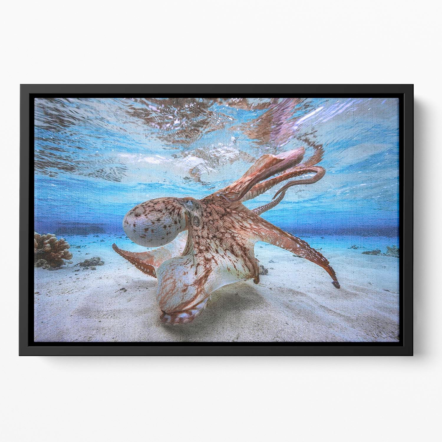 Dancing Octopus Floating Framed Canvas - Canvas Art Rocks - 2