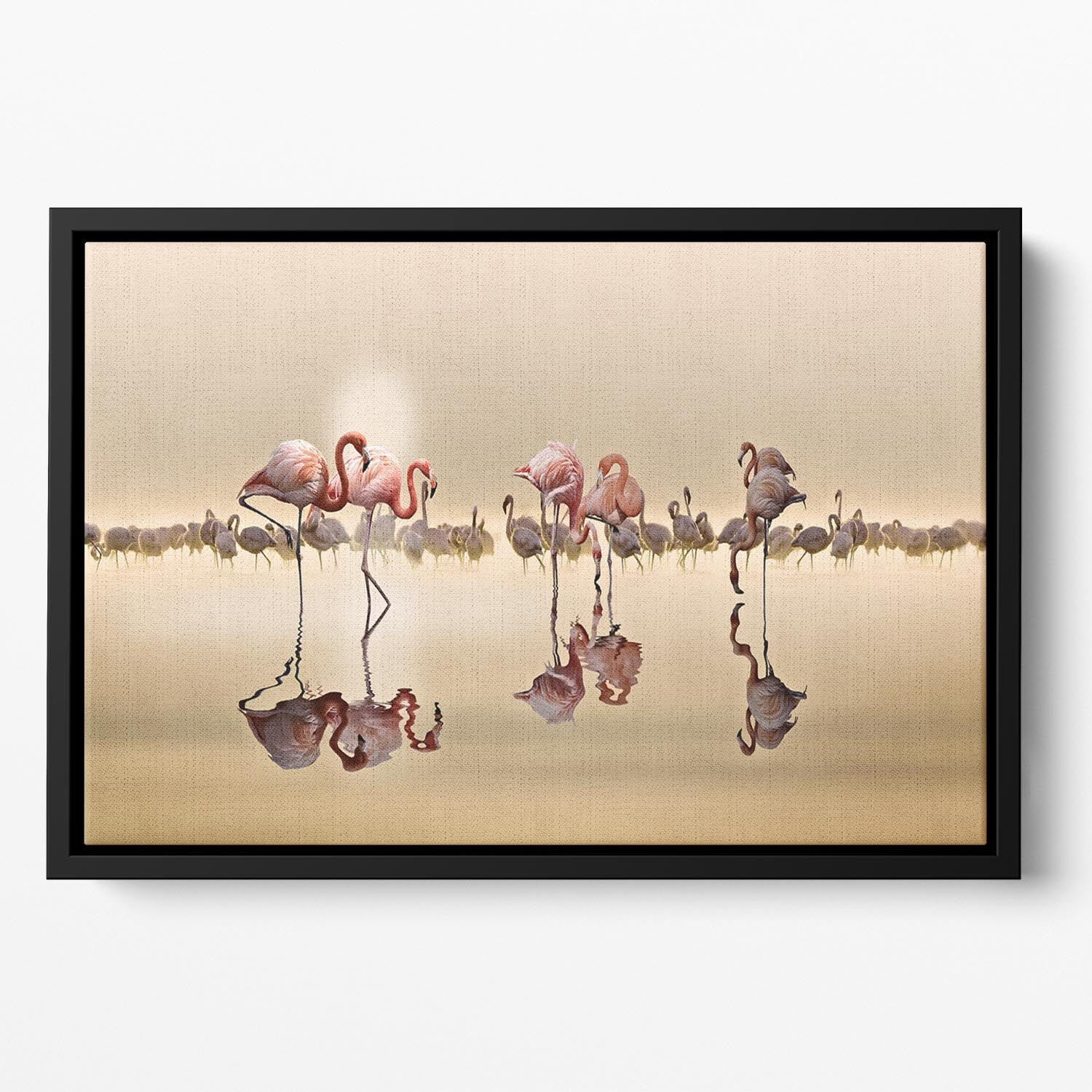 Flamingos In The Sun Floating Framed Canvas - Canvas Art Rocks - 2