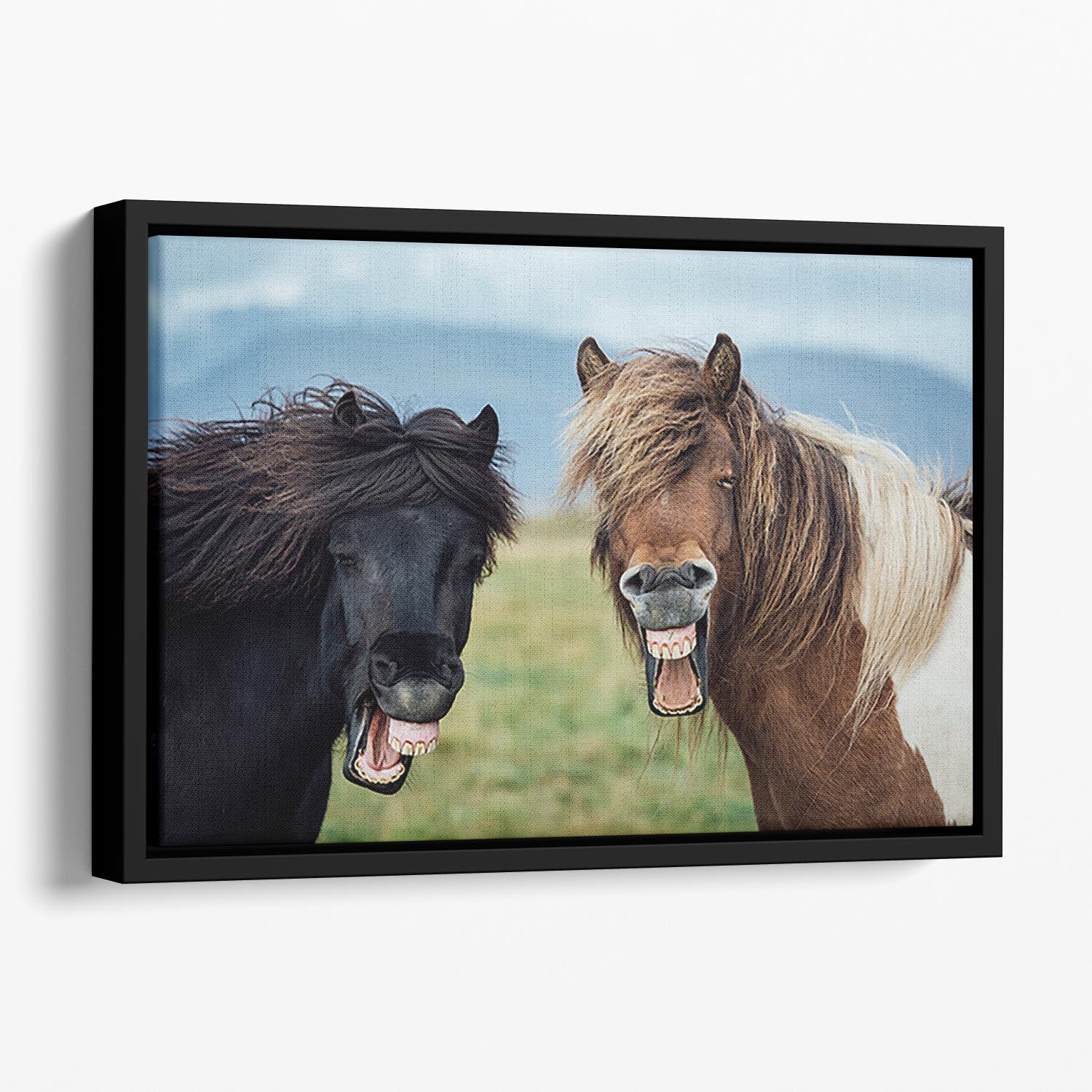 Smiling Horses Floating Framed Canvas - Canvas Art Rocks - 1