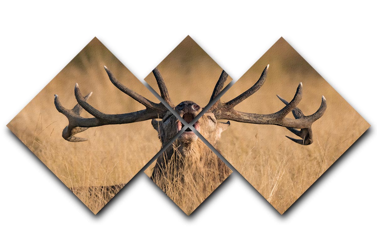 Antler Ready to Rut 4 Square Multi Panel Canvas - Canvas Art Rocks - 1