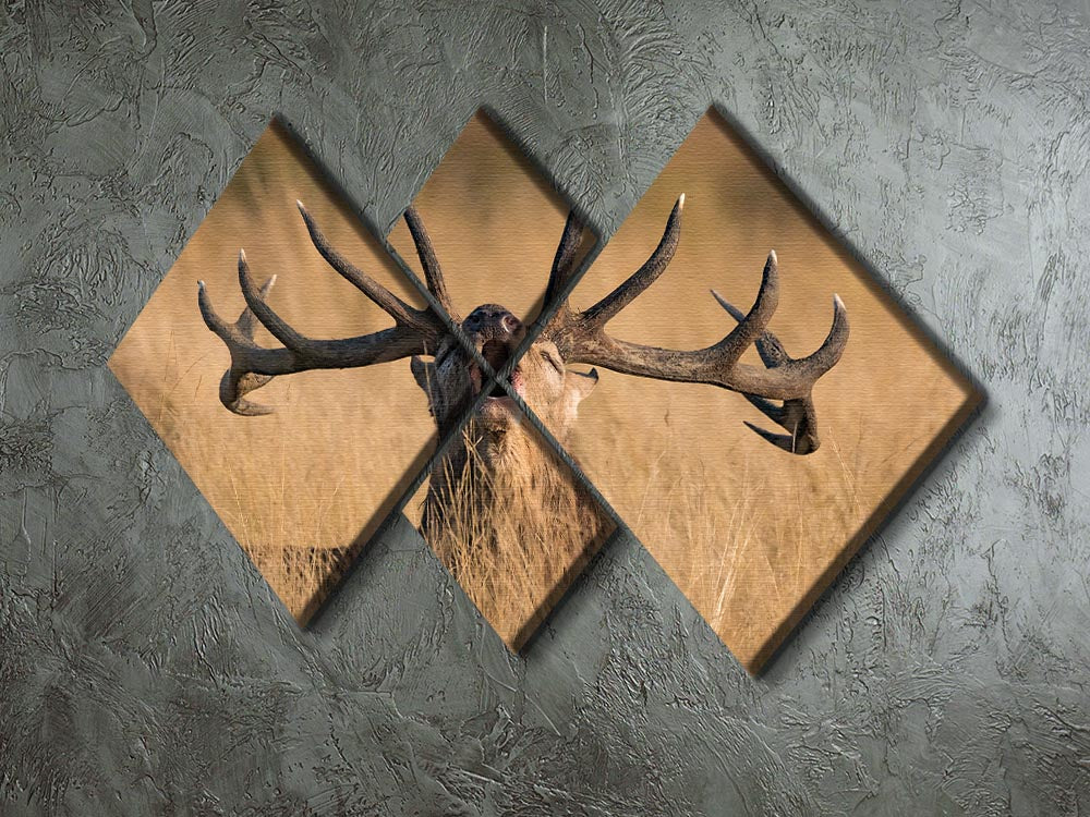 Antler Ready to Rut 4 Square Multi Panel Canvas - Canvas Art Rocks - 2