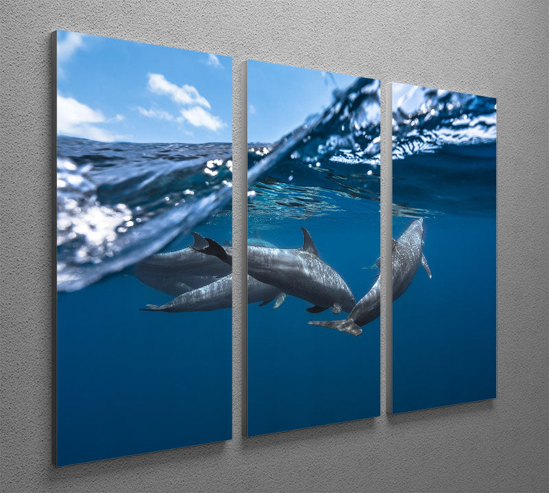 Dolphins 3 Split Panel Canvas Print - 1x - 2