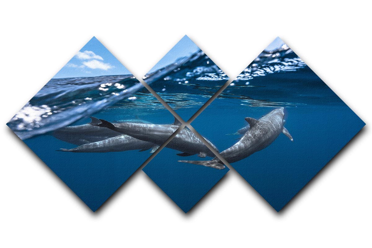 Dolphins 4 Square Multi Panel Canvas - 1x - 1