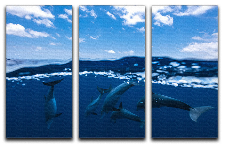 Between Air And Water With The Dolphins 3 Split Panel Canvas Print - Canvas Art Rocks - 1