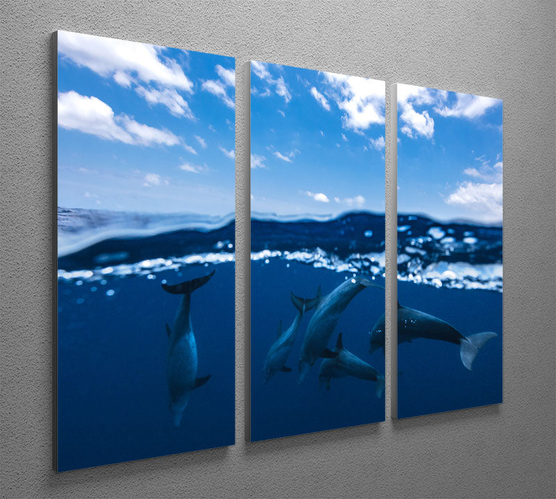 Between Air And Water With The Dolphins 3 Split Panel Canvas Print - Canvas Art Rocks - 2