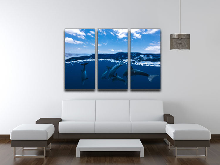 Between Air And Water With The Dolphins 3 Split Panel Canvas Print - Canvas Art Rocks - 3