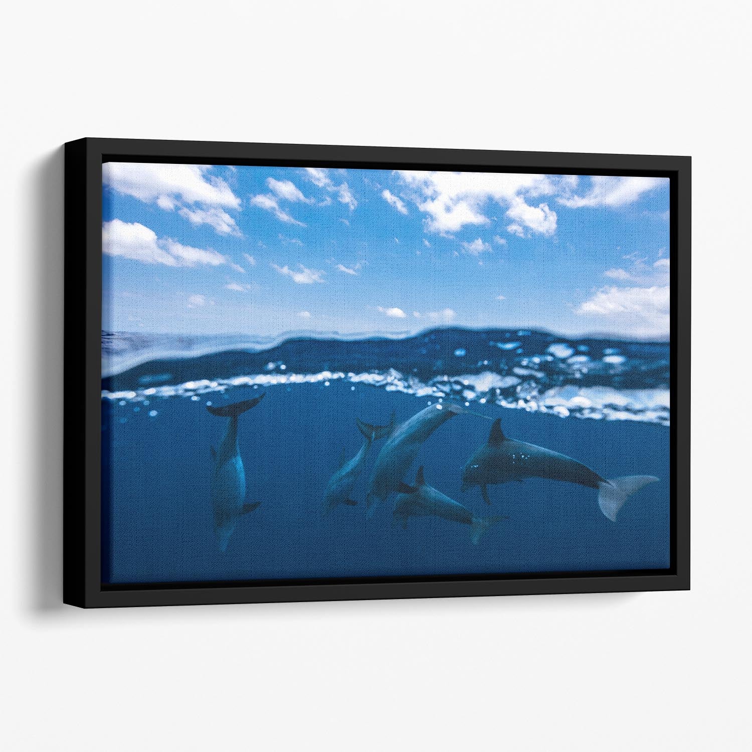 Between Air And Water With The Dolphins Floating Framed Canvas - Canvas Art Rocks - 1
