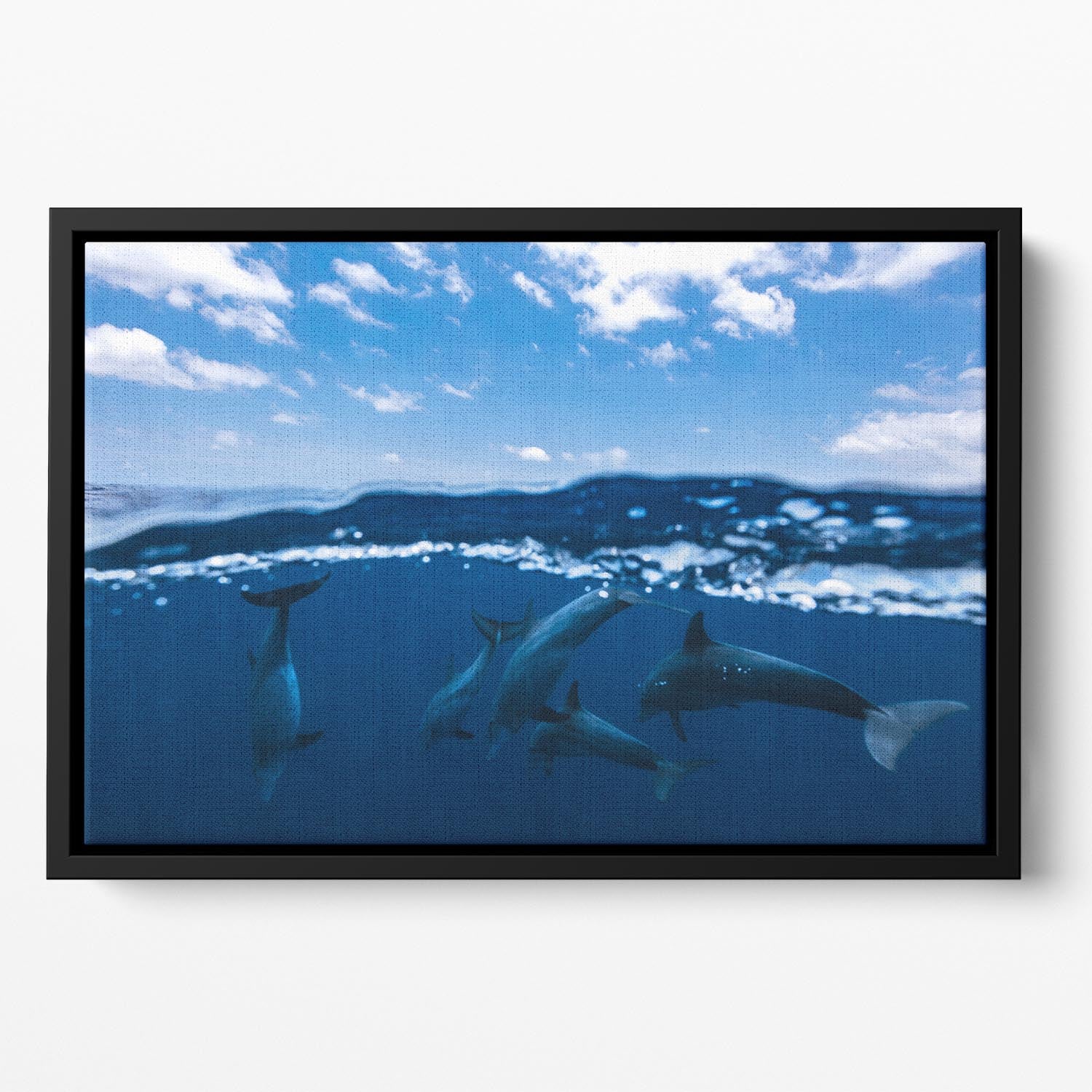 Between Air And Water With The Dolphins Floating Framed Canvas - Canvas Art Rocks - 2