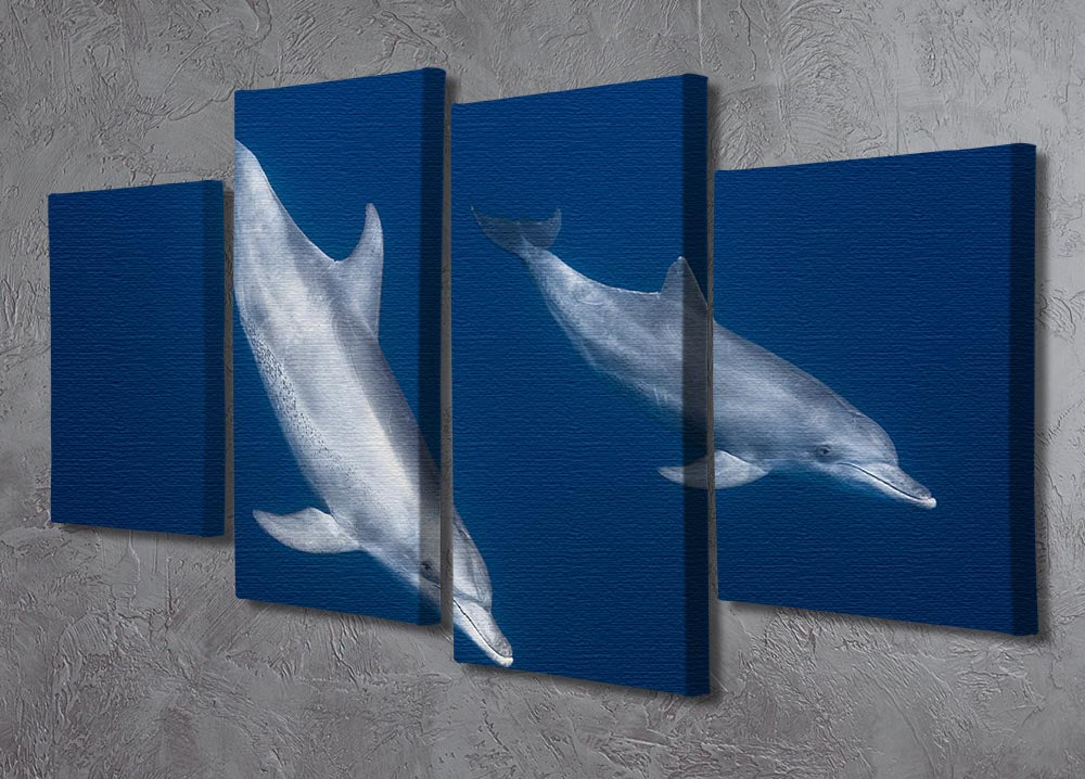 Bottlenose Dolphins 4 Split Panel Canvas - 1x - 2