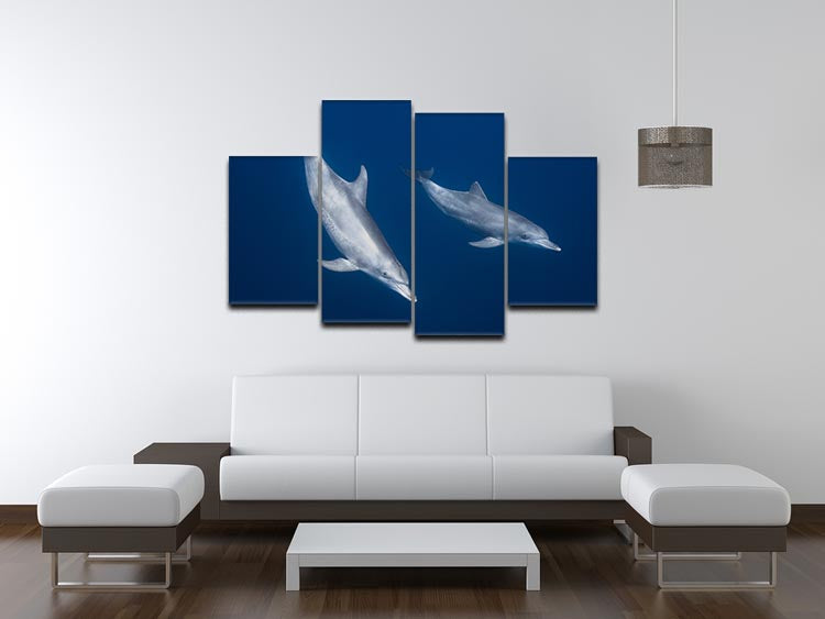 Bottlenose Dolphins 4 Split Panel Canvas - 1x - 3