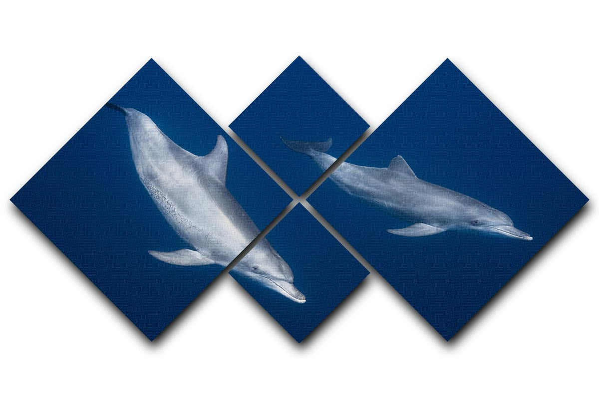 Bottlenose Dolphins 4 Square Multi Panel Canvas - 1x - 1