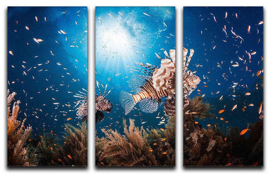 Lionfish 3 Split Panel Canvas Print - Canvas Art Rocks - 1