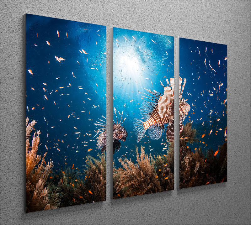 Lionfish 3 Split Panel Canvas Print - Canvas Art Rocks - 2
