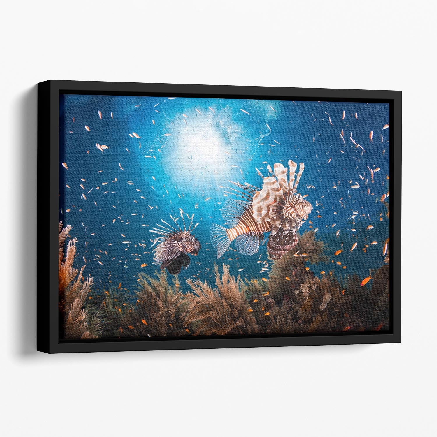 Lionfish Floating Framed Canvas - Canvas Art Rocks - 1