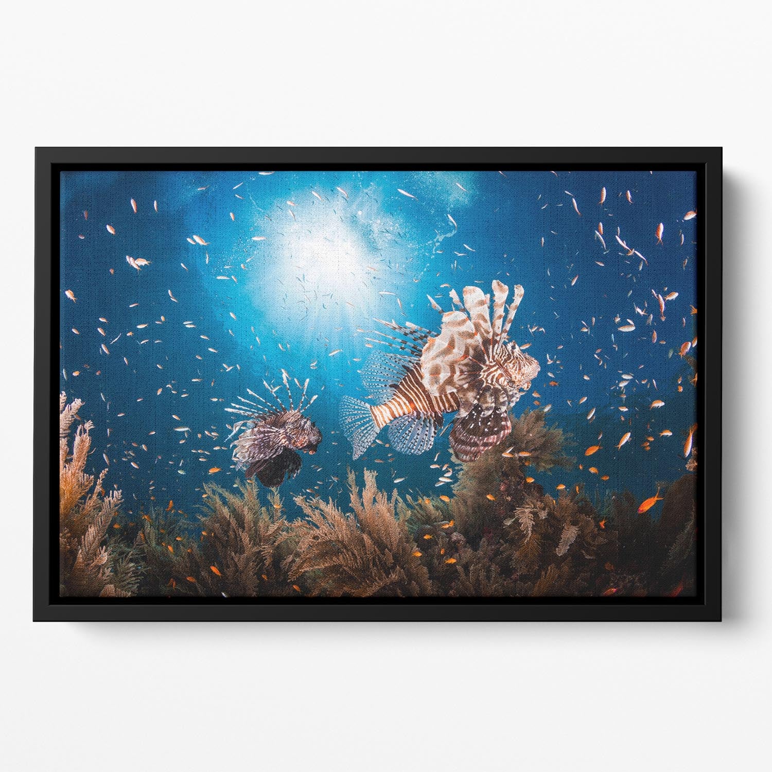 Lionfish Floating Framed Canvas - Canvas Art Rocks - 2