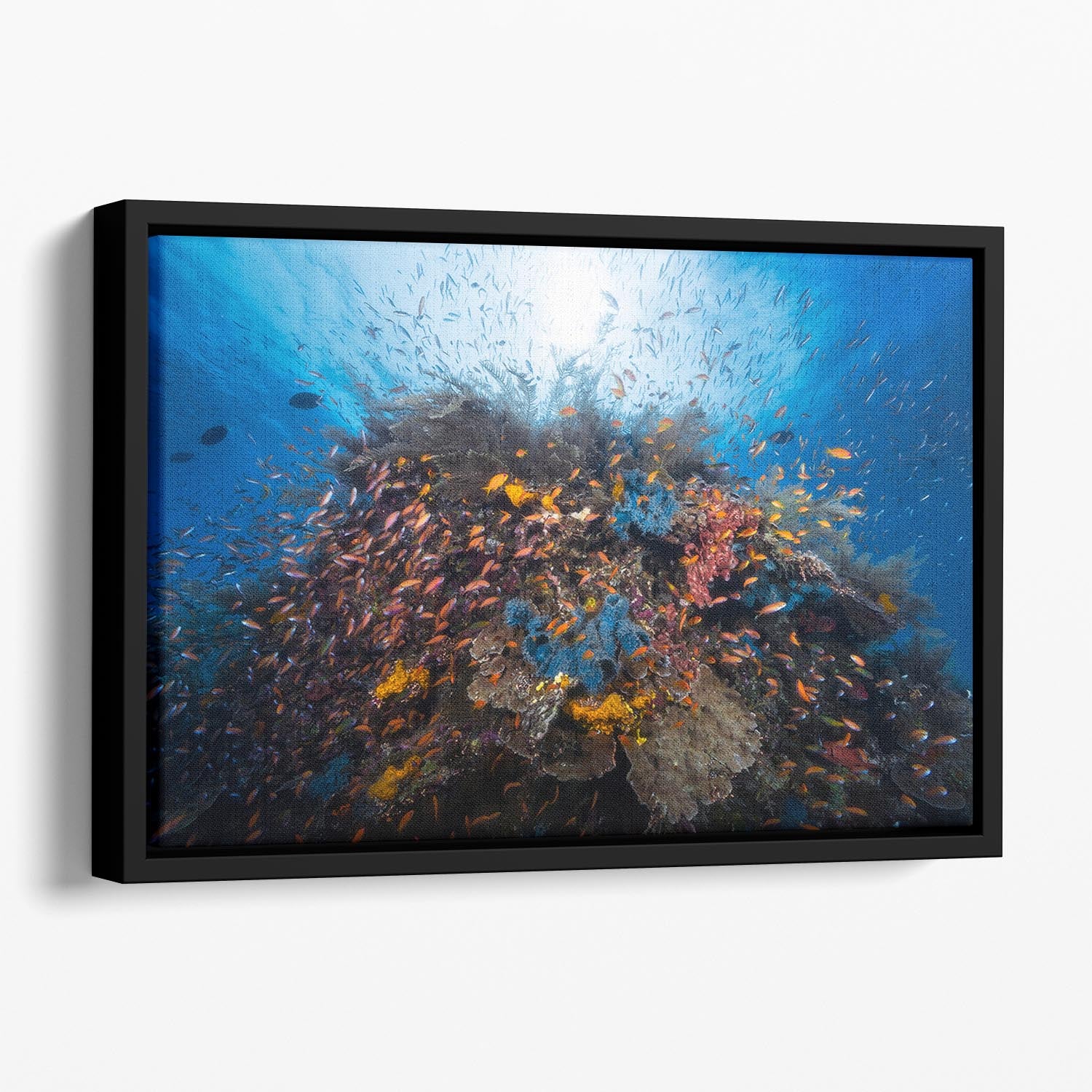 Life Explosion Floating Framed Canvas - Canvas Art Rocks - 1