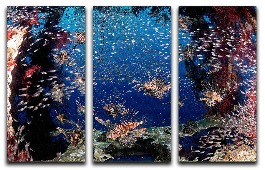 Lionfish Party 3 Split Panel Canvas Print - Canvas Art Rocks - 1