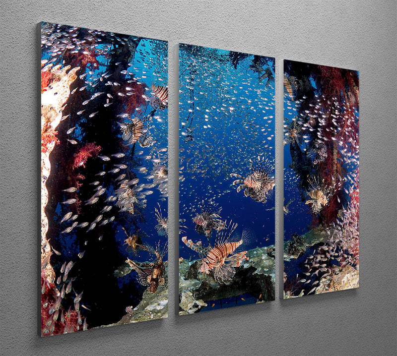 Lionfish Party 3 Split Panel Canvas Print - Canvas Art Rocks - 2
