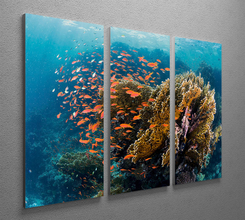 Reefscape 3 Split Panel Canvas Print - Canvas Art Rocks - 2