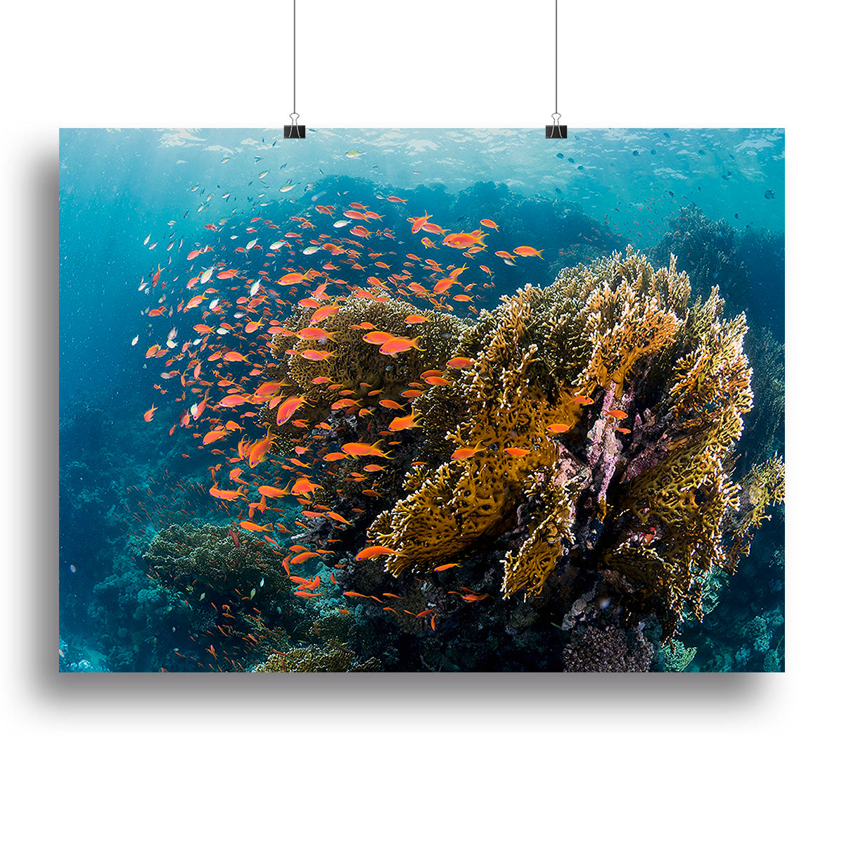 Reefscape Canvas Print or Poster - Canvas Art Rocks - 2