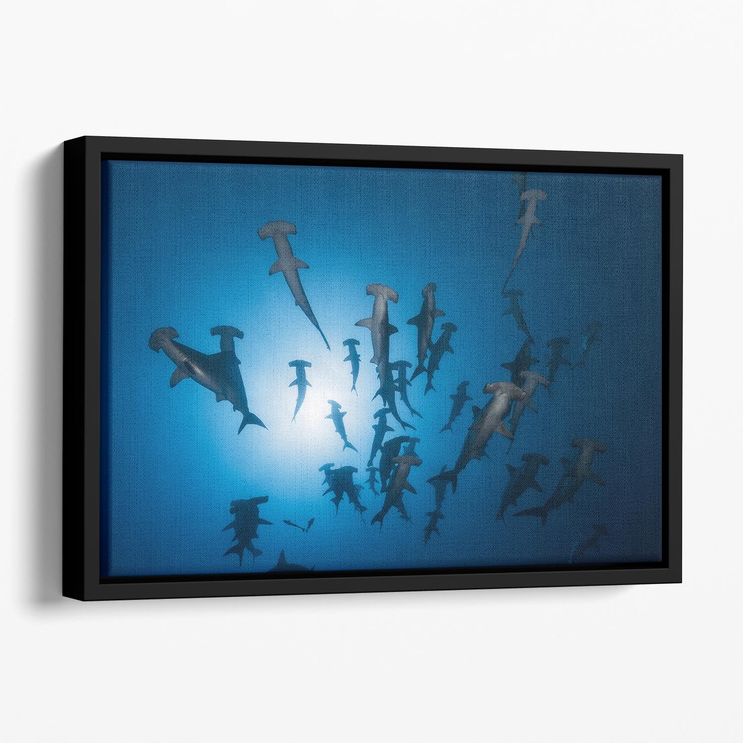 Hammerhead Shark 2 Floating Framed Canvas - Canvas Art Rocks - 1
