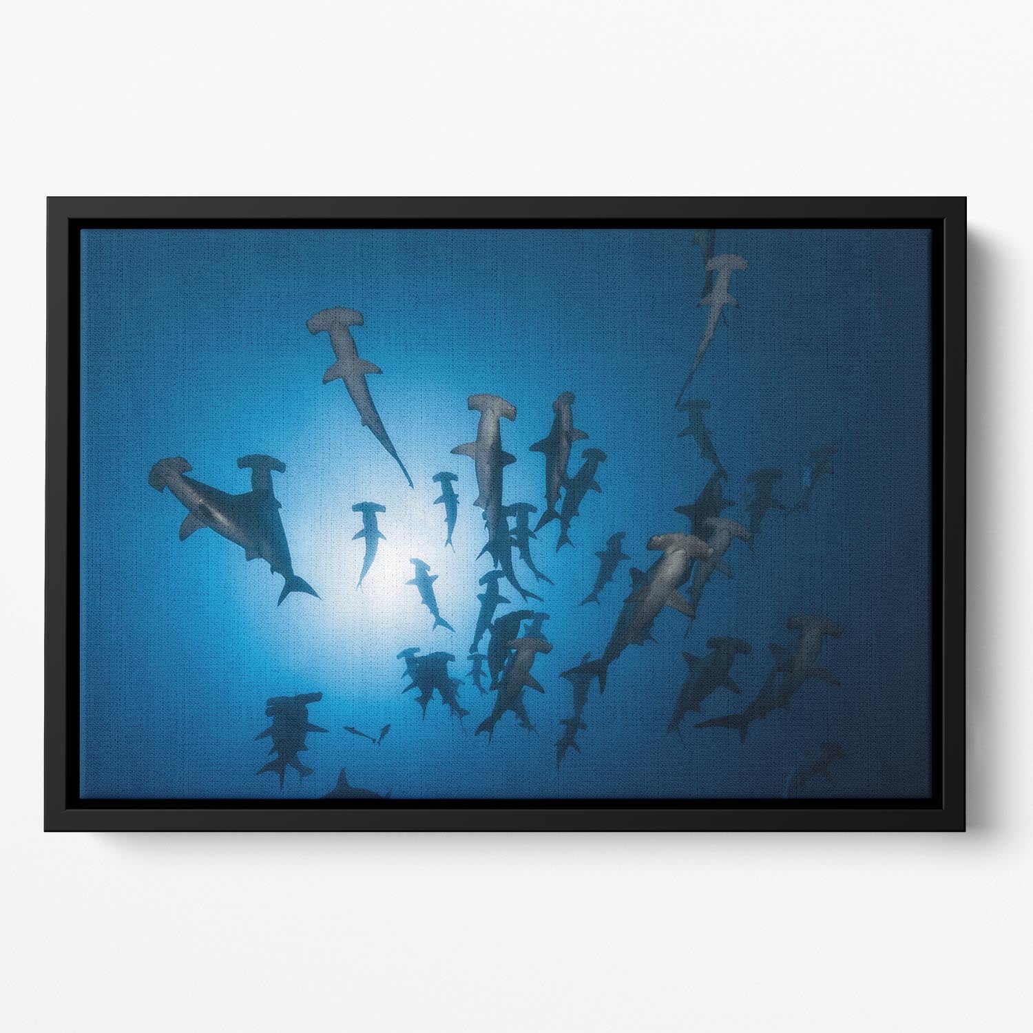 Hammerhead Shark 2 Floating Framed Canvas - Canvas Art Rocks - 2